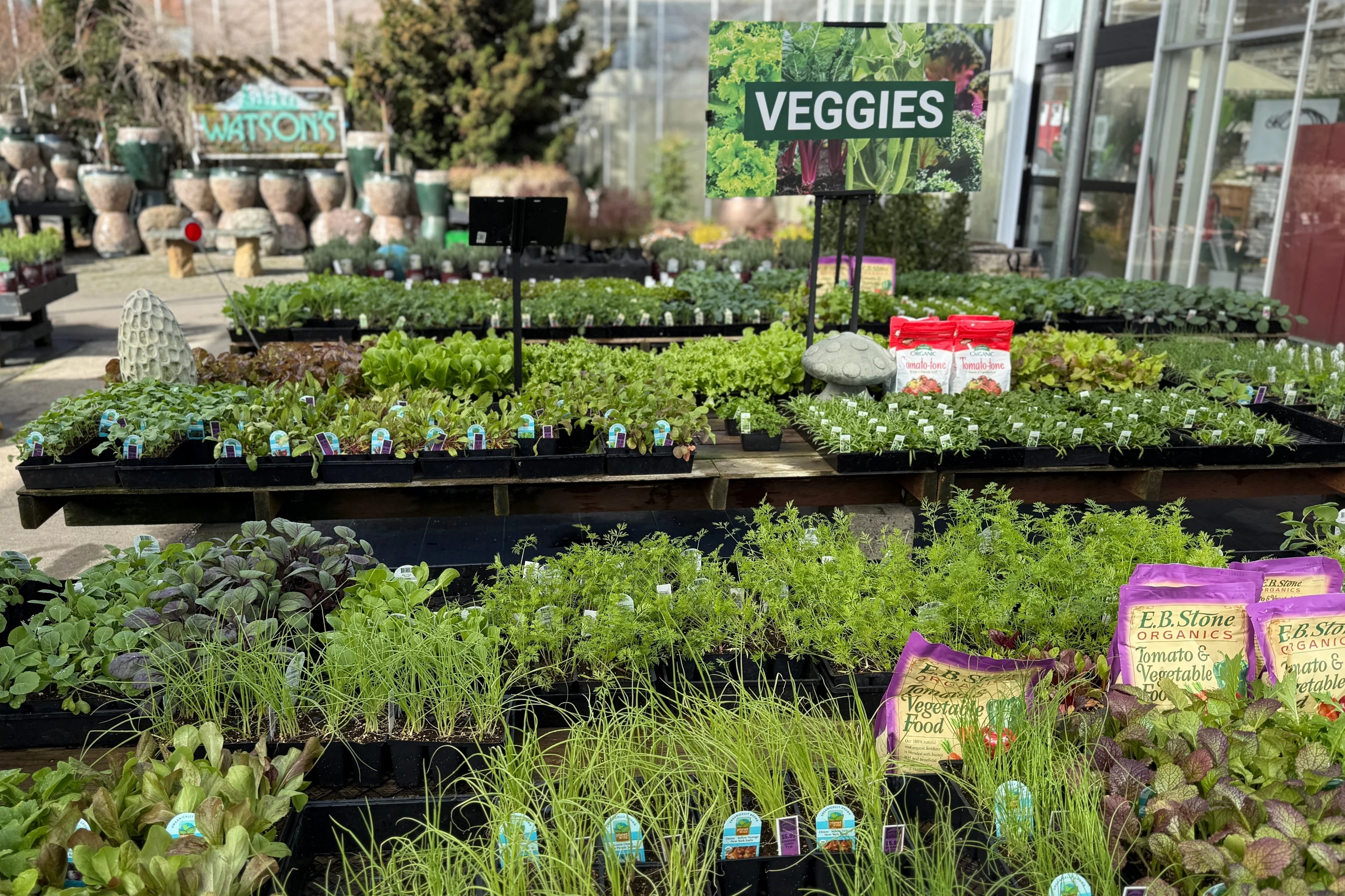 Bring Your Garden to Life